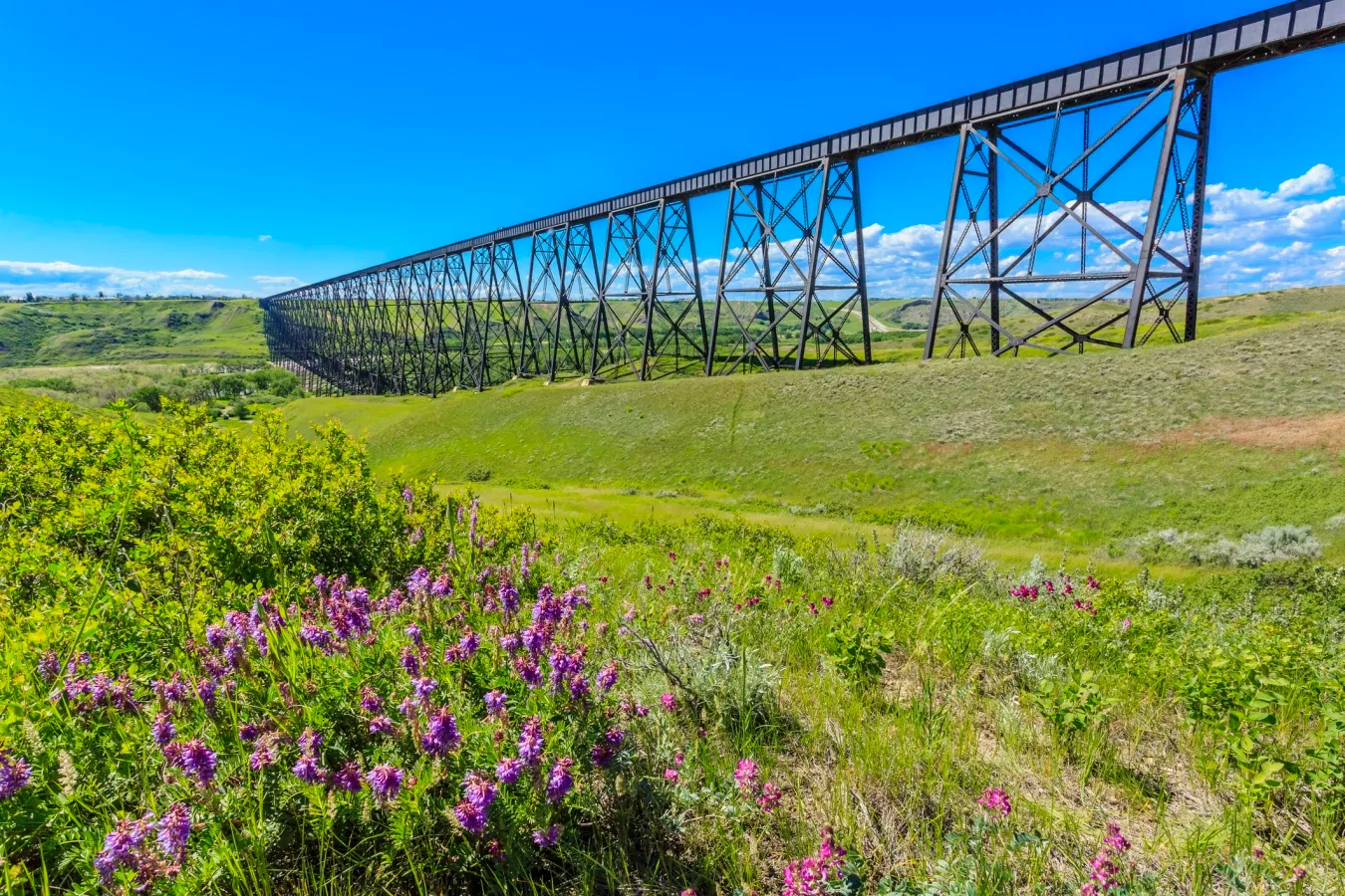 Image representing a link for Lethbridge